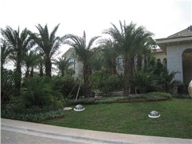 美林湖光導(dǎo)照明應(yīng)用