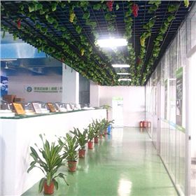 原來這就是光導照明系統啊