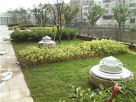 綠化帶鉆石形采光罩 綠化帶鉆石形采光罩