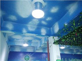 光導(dǎo)照明夜間照明模式 光導(dǎo)照明夜間照明模式