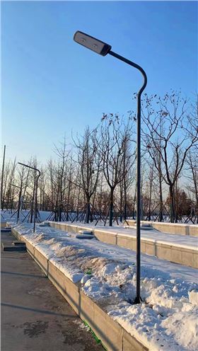 雄安新區金湖體育公園光能路燈600-3.jpg
