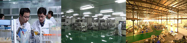 香港正能量，光導照明專業供應商，8年專注