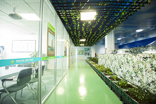 側墻水平傳輸光線照明效果