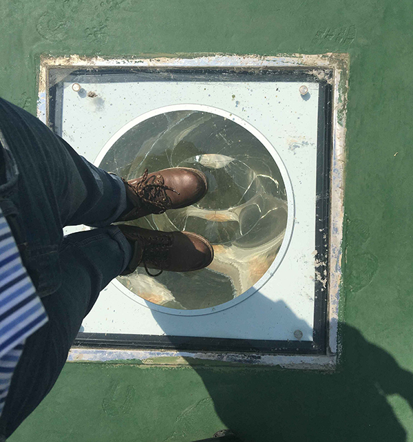 平板采光器承重測試 平板采光器承重測試