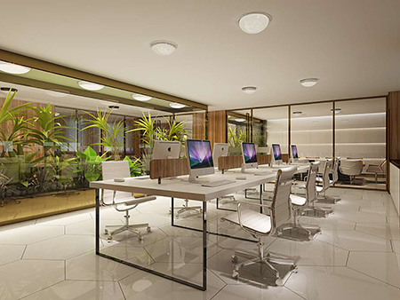 香港正能量生態辦公基地 香港正能量生態辦公基地