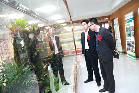 綠色生態(tài)辦公空間 綠色生態(tài)辦公空間