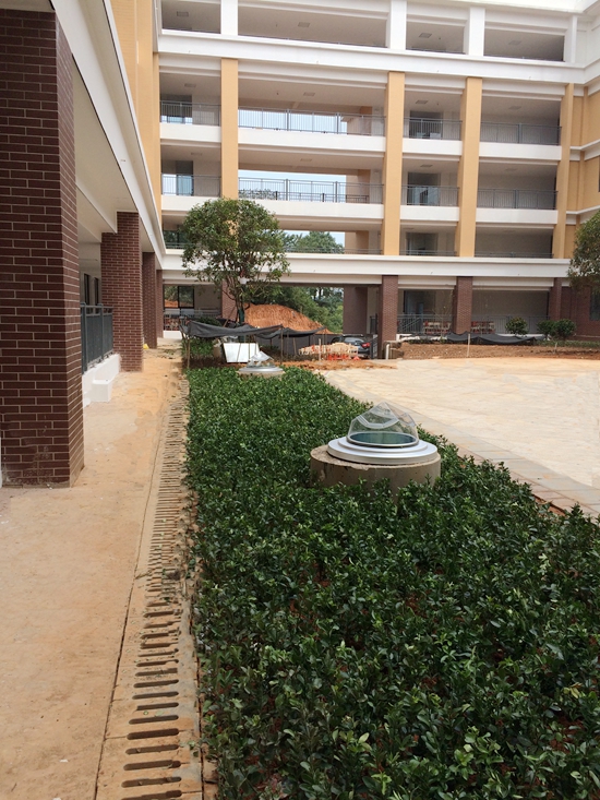 長沙紅橋中學——正能量無電照明系統