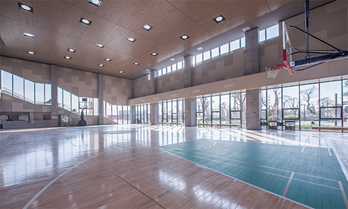 江門體育館使用正能量日光照明 江門體育館使用正能量日光照明