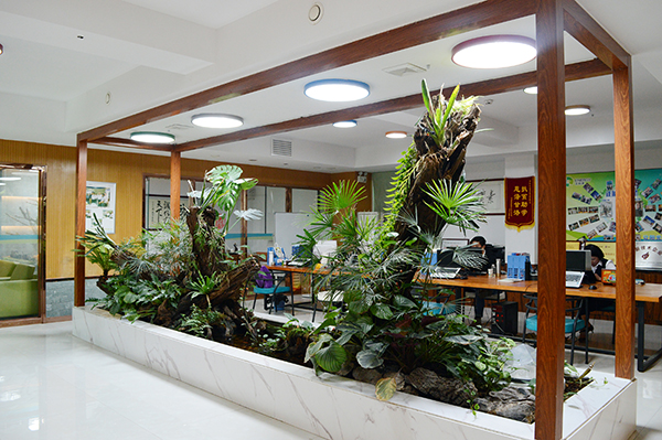 自然光照明 自然光照明