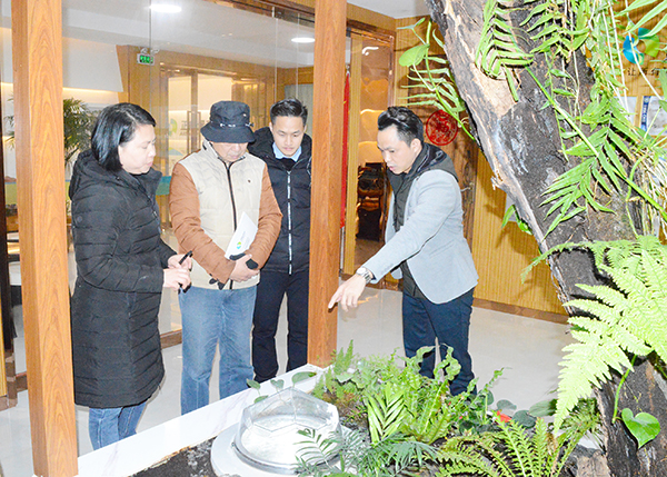 雙模式無電照明系統 雙模式無電照明系統